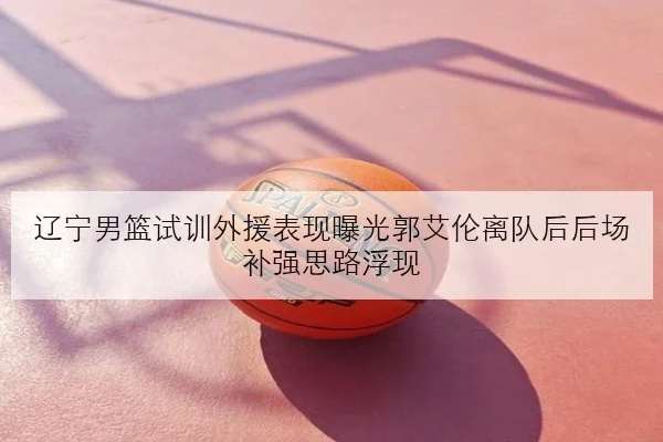 辽宁男篮试训外援表现曝光郭艾伦离队后后场补强思路浮现